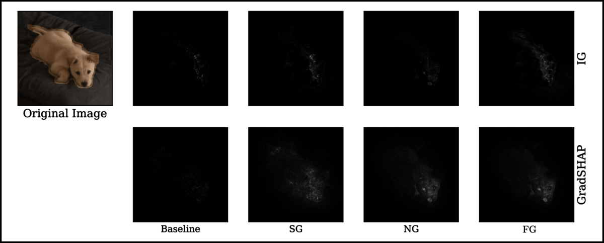 Attribution maps by Baseline, SmoothGrad (SG), NoiseGrad (NG) and FusionGrad (FG) for two different explanation methods. It can be observed that both NG and FG improve the sharpness of the attributions compared to Baseline and SG. Moreover, NG highlights semantic features of the dog, such as the nose and the eyes, which are not visible for Baseline and SG.