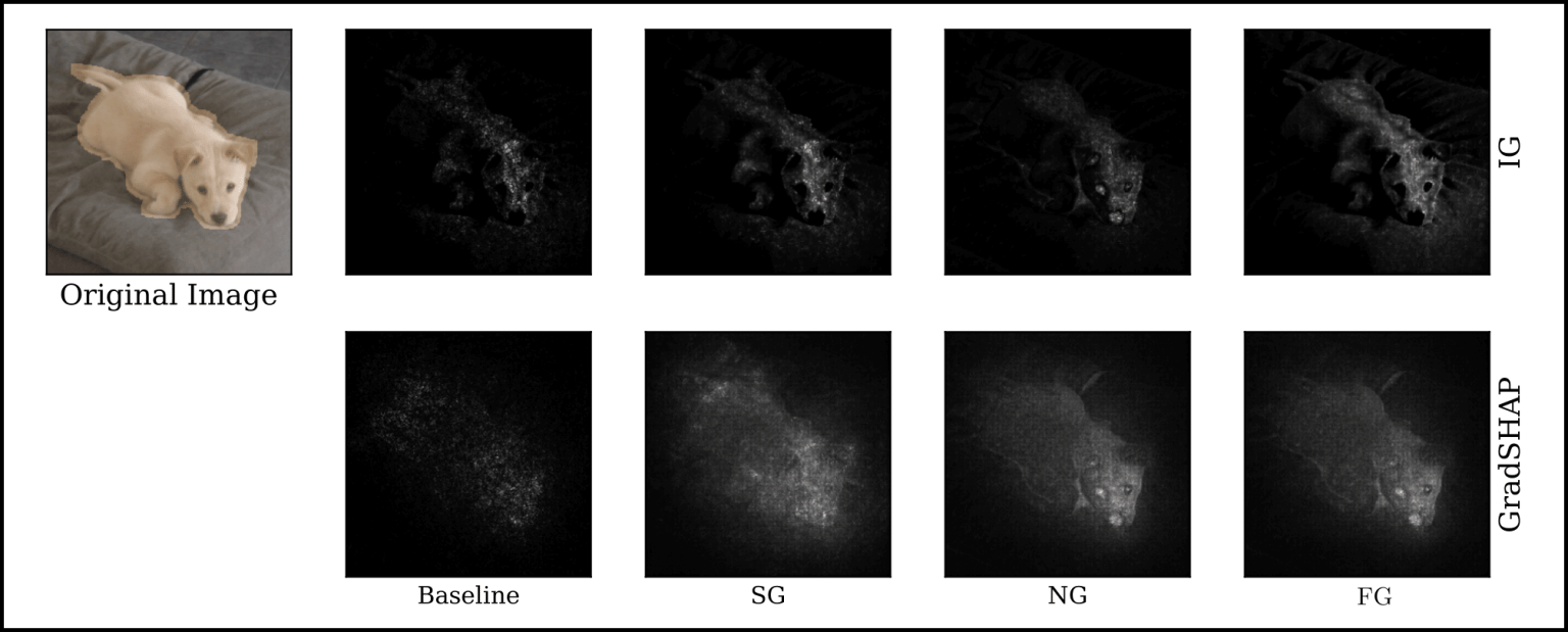 Attribution maps by Baseline, SmoothGrad (SG), NoiseGrad (NG) and FusionGrad (FG) for two different explanation methods. It can be observed that both NG and FG improve the sharpness of the attributions compared to Baseline and SG. Moreover, NG highlights semantic features of the dog, such as the nose and the eyes, which are not visible for Baseline and SG.