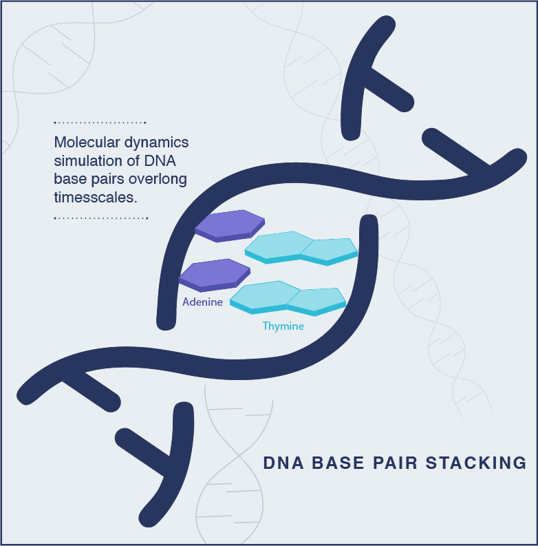 DNA base-pair stacking